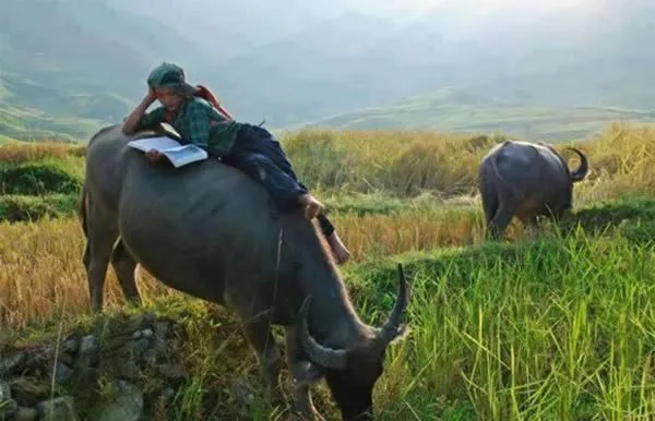 Sambil Menyelam Minum Es Teh, inilah 11 Multitasking Kocak yang Dilakukan Orang-Orang Jenius 16