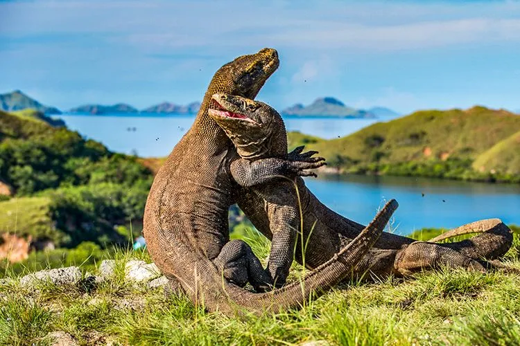 10 Destinasi Wisata Populer di Dunia yang Dibuka di Bulan Juni. Indonesia pun Juga Akan Dibuka! 19