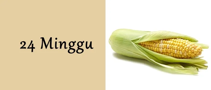 Mengagumi Ukuran Janin dari Minggu ke Minggu. Mulai Seukuran Biji-bijian Hingga Makin Besar! 16