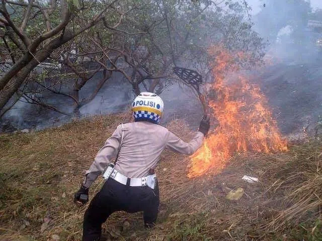 Viral Video Cowok Berseragam Pamer Senjata, Warganet: Percuma Gagah Kalau Nggak Bisa Kayak Gini~ 10