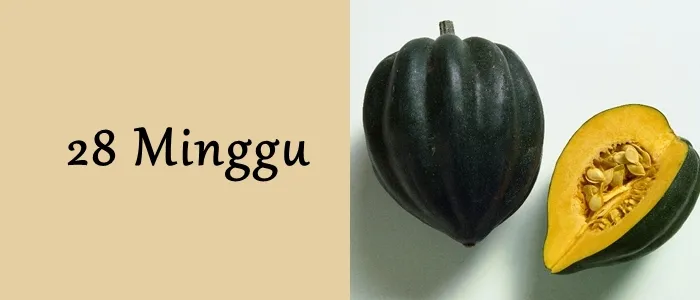 Mengagumi Ukuran Janin dari Minggu ke Minggu. Mulai Seukuran Biji-bijian Hingga Makin Besar! 17
