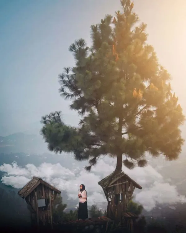Bukit Baper, Destinasi Hits dengan Pemandangan Alam Cantik di Brebes. Kalau Lagi Baper Mending ke Sini! 6