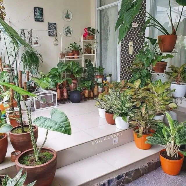 8+ Desain Taman Rumah Sederhana Cantik Minimalis 10 taman rumah sederhana cantik