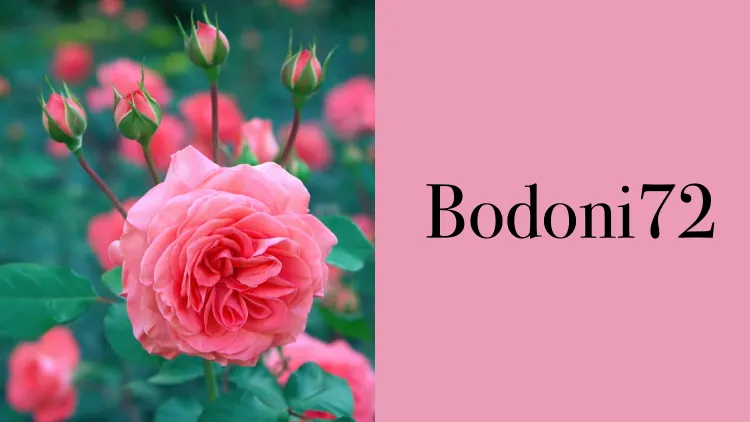 28 Kumpulan Font untuk Undangan Nikah yang Elegan 32