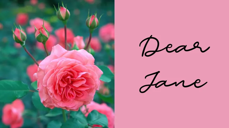 28 Kumpulan Font untuk Undangan Nikah yang Elegan 35