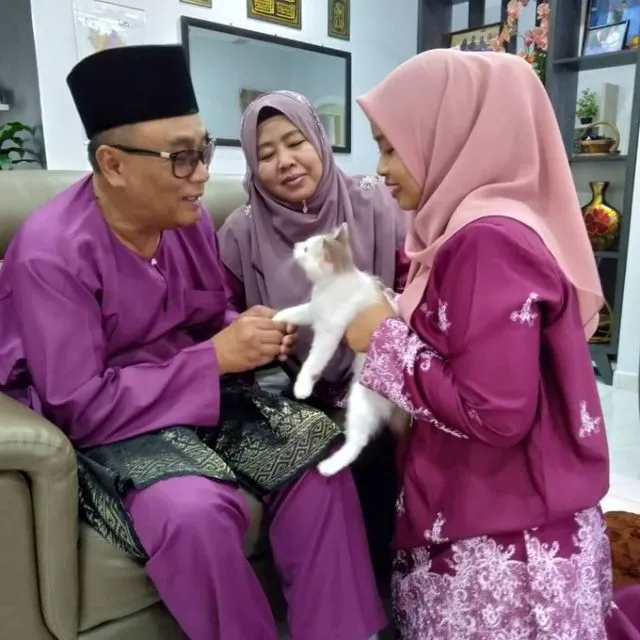 11 Potret Kocak Kucing Ikut Halalbihalal. Gitu dong, Minta Maaf karena Suka Ambil Makan Tanpa Izin! 14