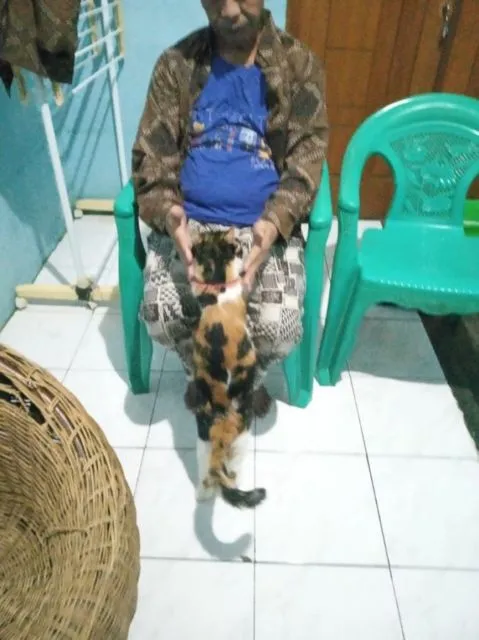 11 Potret Kocak Kucing Ikut Halalbihalal. Gitu dong, Minta Maaf karena Suka Ambil Makan Tanpa Izin! 19