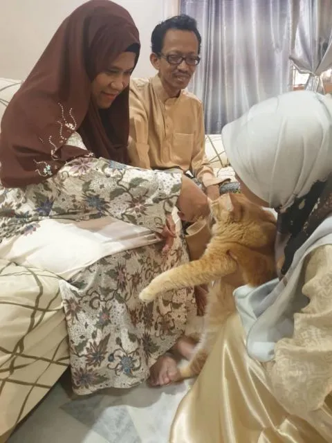 11 Potret Kocak Kucing Ikut Halalbihalal. Gitu dong, Minta Maaf karena Suka Ambil Makan Tanpa Izin! 20