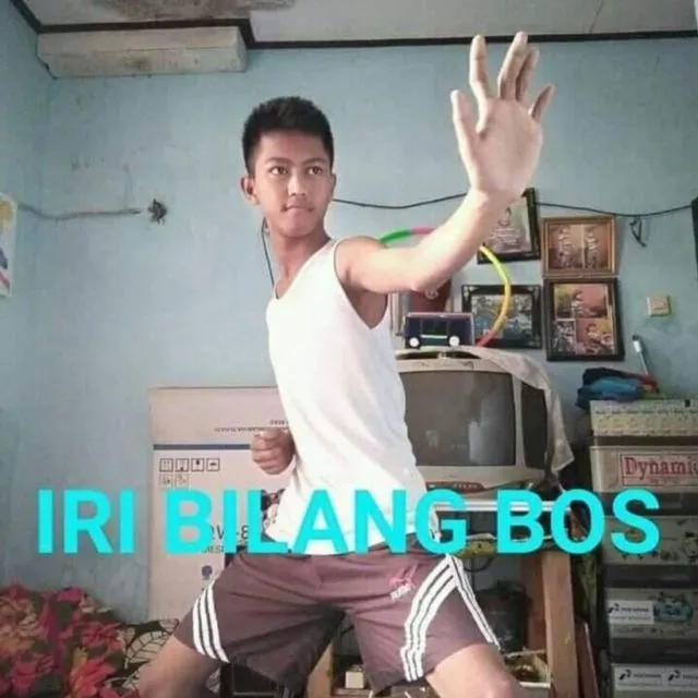 11 Potret Kocak Meme 'Iri Bilang Bos' Ala Warganet. Cara Kreatif buat Balas Nyinyiran Orang~ 12
