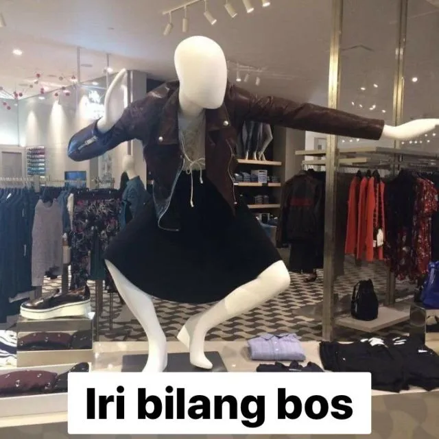 11 Potret Kocak Meme 'Iri Bilang Bos' Ala Warganet. Cara Kreatif buat Balas Nyinyiran Orang~ 14