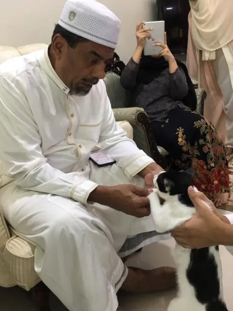 11 Potret Kocak Kucing Ikut Halalbihalal. Gitu dong, Minta Maaf karena Suka Ambil Makan Tanpa Izin! 16