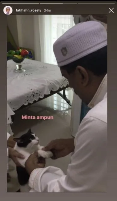 11 Potret Kocak Kucing Ikut Halalbihalal. Gitu dong, Minta Maaf karena Suka Ambil Makan Tanpa Izin! 18