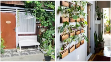 10 Desain Taman Minimalis di Teras Rumah yang Sempit