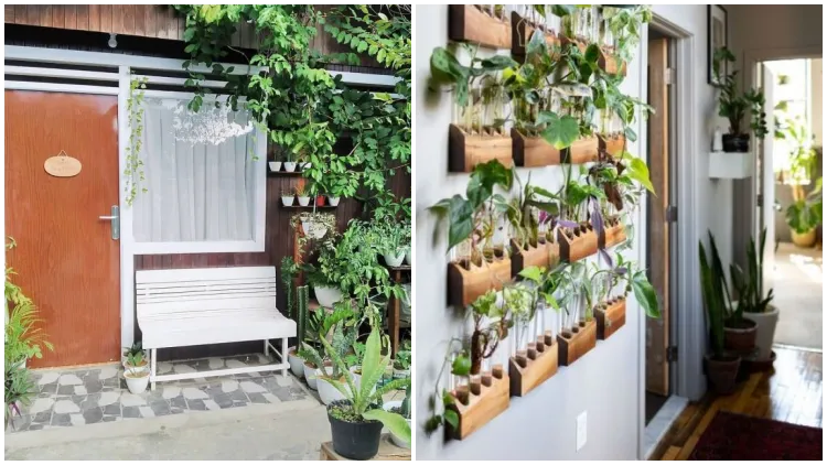 10 Desain Taman Minimalis di Teras Rumah yang Sempit