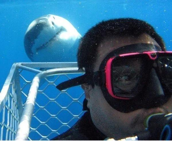 Setelah Alami 9 Selfie Kayak Gini, Mungkin Kamu Bakal Kapok Mau Coba Foto Lagi. Susah Banget! 16