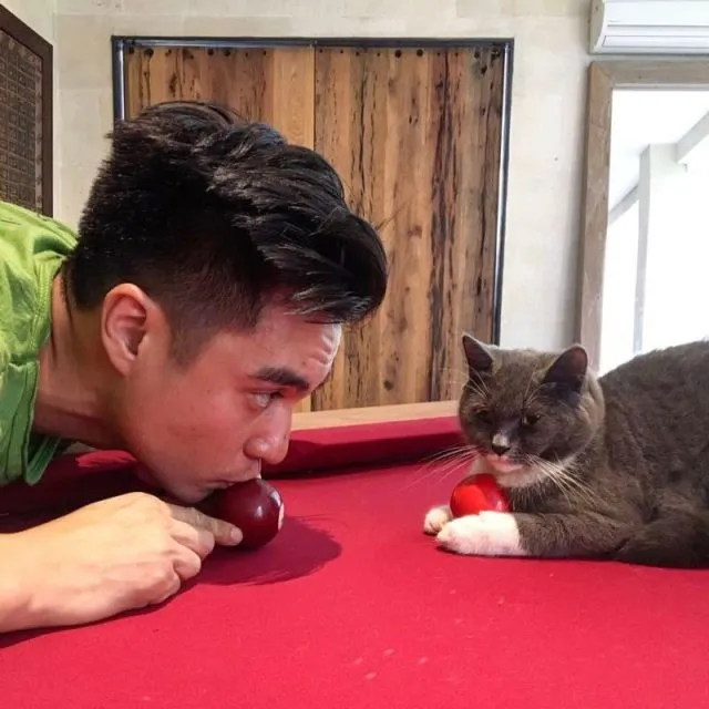 10 Artis yang Ternyata Bucing alias Budak Kucing. Sayang Banget sama Peliharaan Mereka yang Satu ini 12