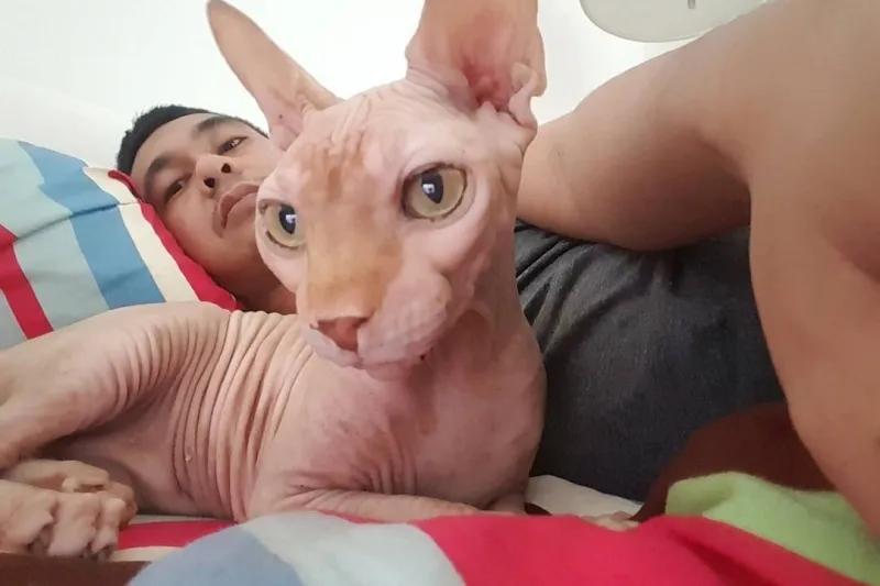 10 Artis yang Ternyata Bucing alias Budak Kucing. Sayang Banget sama Peliharaan Mereka yang Satu ini 13