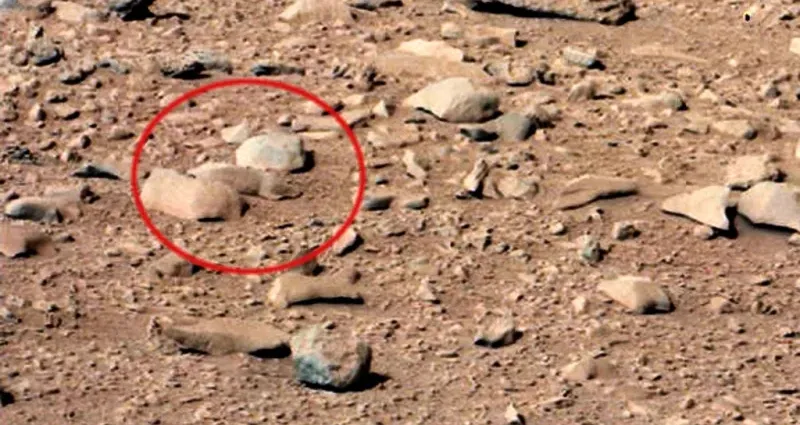 Dari Wajah Manusia sampai Tupai yang Lagi Rebahan, ini 7 Foto Aneh dan Unik dari Planet Mars 13