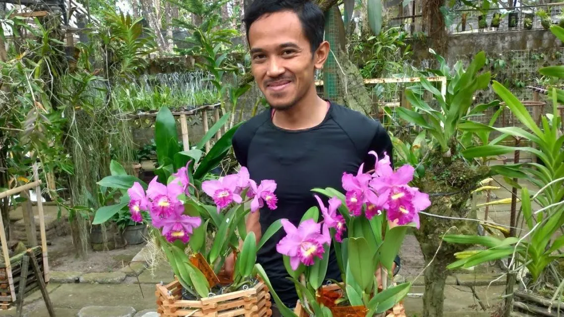 Cara Merawat Anggrek Sesuai Jenisnya. Termasuk Menyelamatkan Anggrek yang Hampir Mati Juga 14