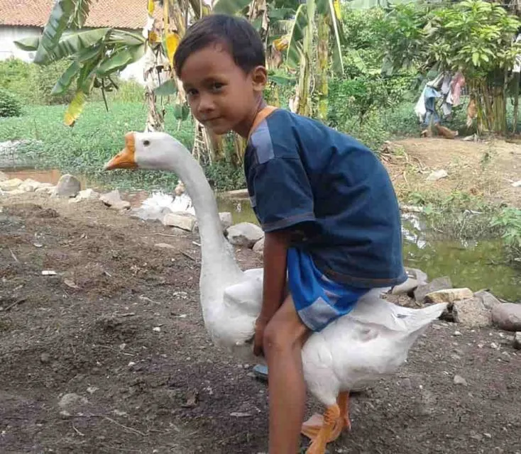 Viral Video Cowok Berseragam Pamer Senjata, Warganet: Percuma Gagah Kalau Nggak Bisa Kayak Gini~ 13