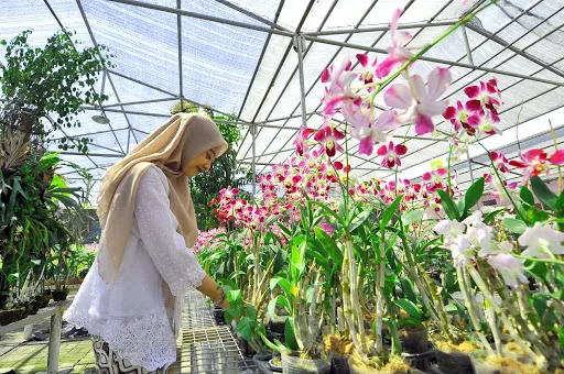 Macam-Macam Benda di Rumah yang Dijaga Ketat oleh Ibu. Pokoknya Kita Nggak Boleh Pegang! 6
