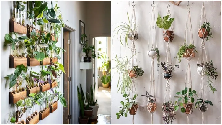8+ Desain Taman Rumah Sederhana Cantik Minimalis 13 taman rumah sederhana cantik
