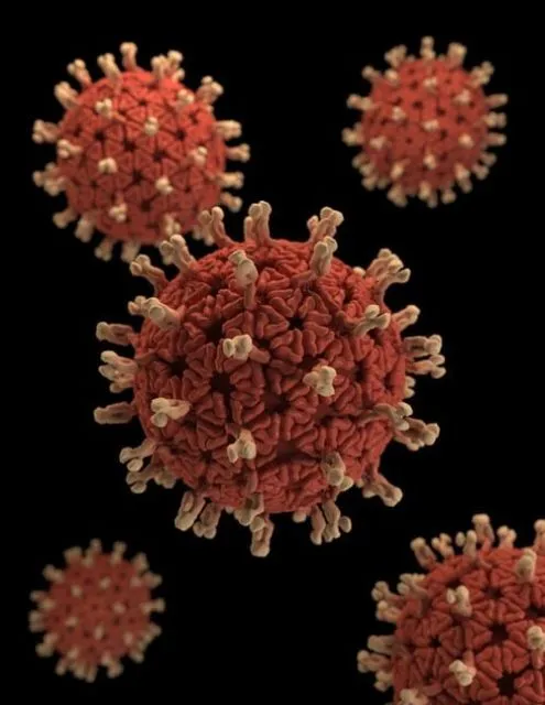 Penelitian Mengungkap, Virus Corona Bisa Menular Lewat Makeup. Ini Penjelasan Lengkapnya! 6
