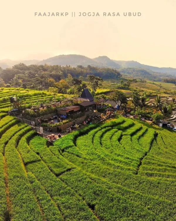 Kopi Ampirono, Tempat Nongkrong di Kulonprogo Jogja 5