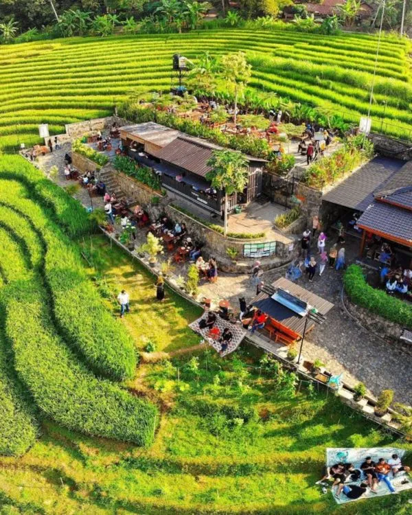 Kopi Ampirono, Tempat Nongkrong di Kulonprogo Jogja 4