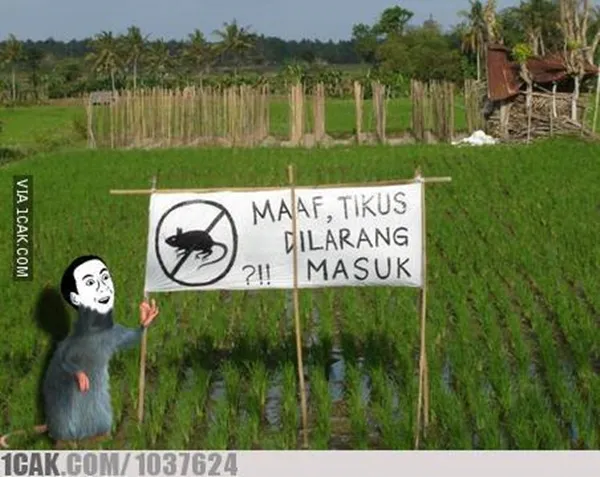 11 Kelakuan Kocak Orang Saat Bercocok Tanam. Mumpung Masih di Rumah Aja, Ayo Menanam yang Betul! 14