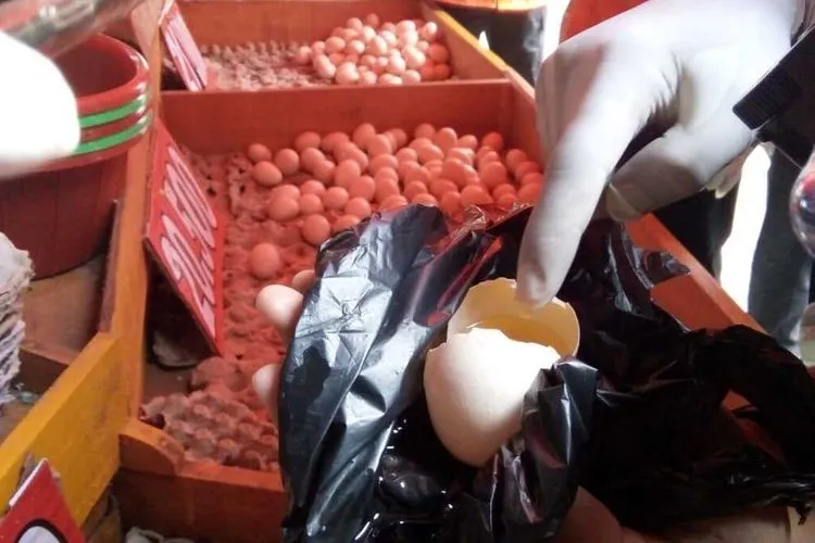 Mengenal Telur Infertil yang Lagi Heboh, Ternyata Cepat Busuk dan Berbahaya. Ini Ciri-cirinya 4