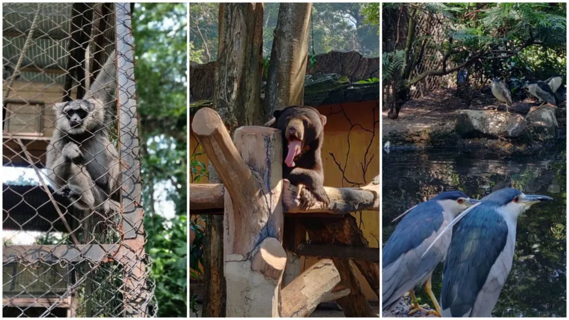Era New Normal, 8 Tempat Wisata Bandung Ini Sudah Buka Kembali. Tetep Jaga Jarak ya! 9