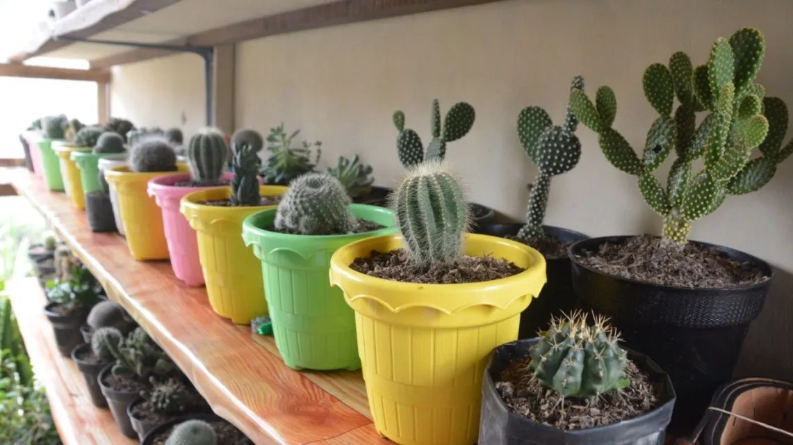 4 Cara Menjaga Kewarasan Karena Kelamaan di Rumah Aja. Sehat Fisik Juga Harus Sehat Mental Juga 5