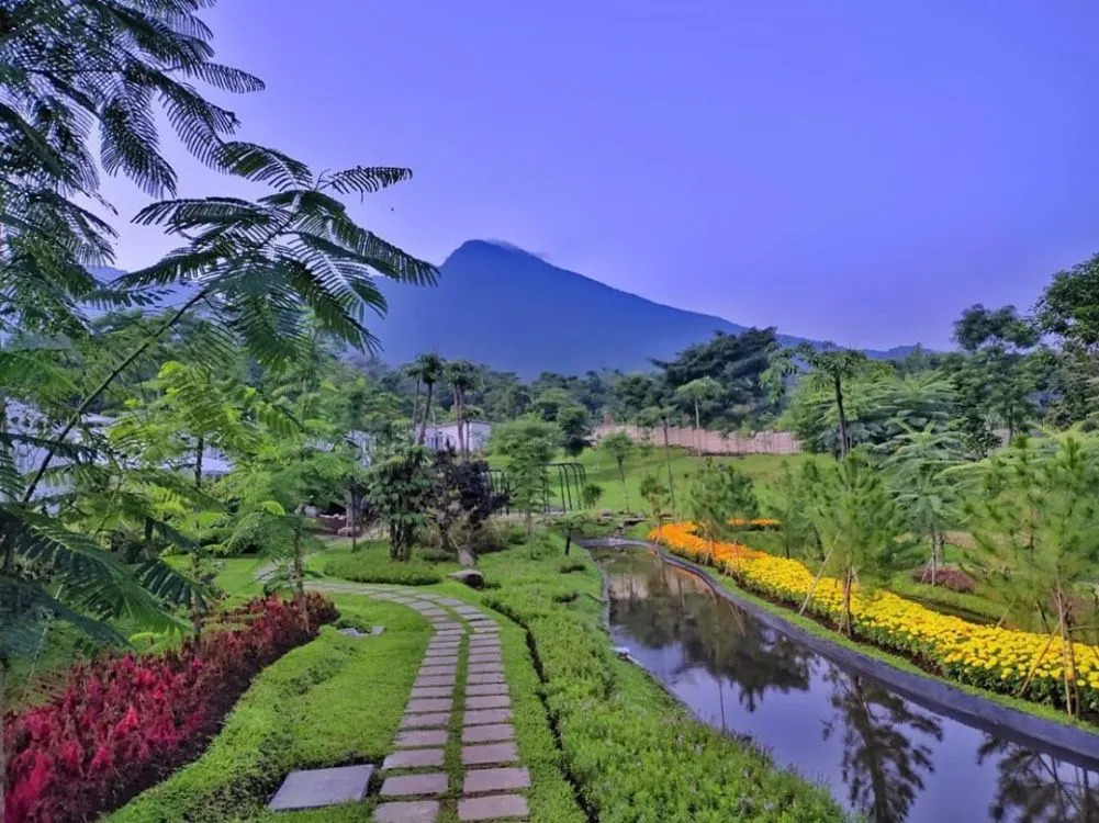Leuweung Geledegan, Glamping Seru untuk Staycation di Bogor. Infinity Pool dan View-nya Menakjubkan! 7