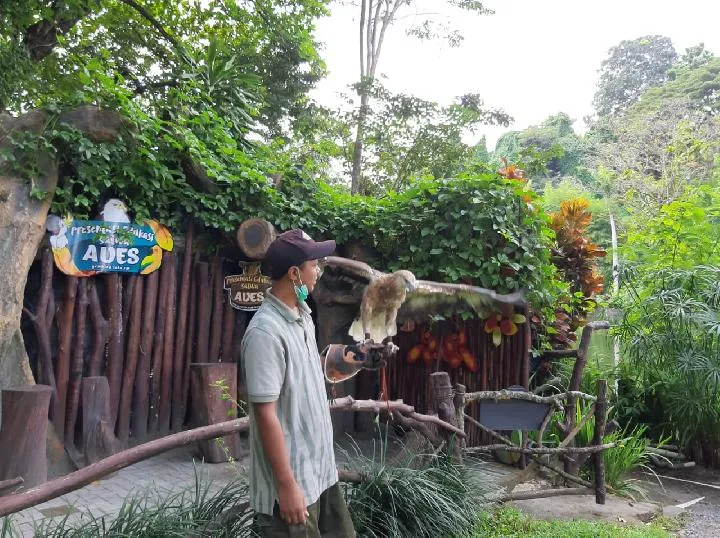 Lama Nggak Dikunjungi, Satwa di Kebun Binatang Kaget Kalau Lihat Orang. Begini Nasibnya Saat Pandemi 4