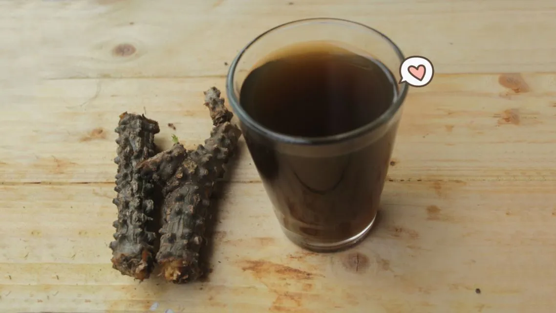 11 Macam Jamu Tradisional yang Khasiatnya Bisa Menggemukkan Badan Hingga Tingkatkan Kesuburan 15