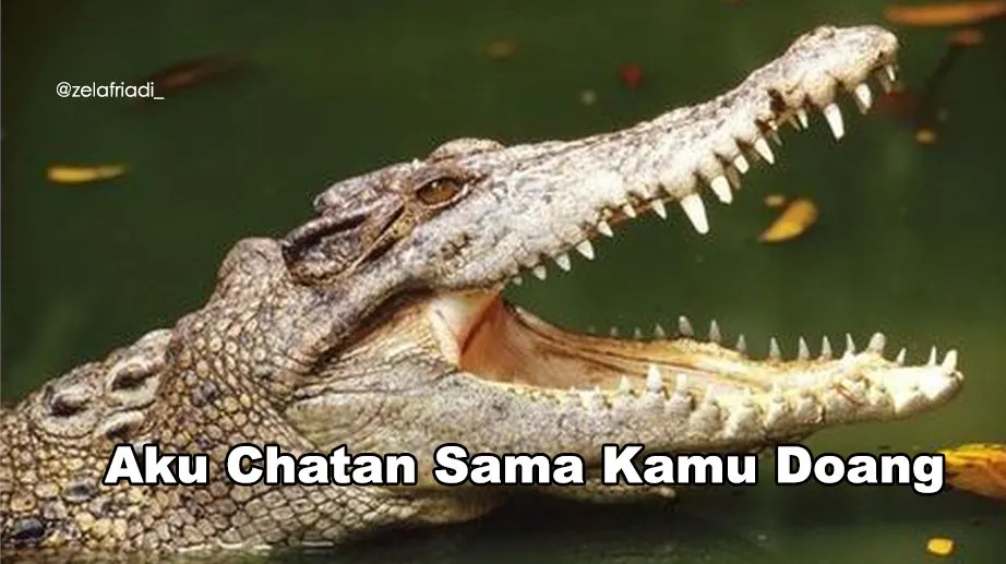 11 Kumpulan Meme Kocak Seekor Buaya. Duh, Pas Banget sama Omongan para Lelaki yang Nggak Beres~ 12