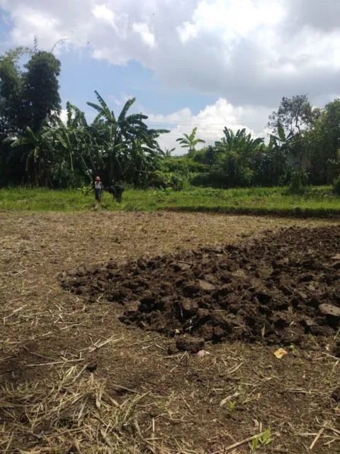 Viral Lulusan Fisipol UGM Mantap Berkarier jadi Petani. Ternyata Tak Perlu Punya Lahan Sendiri~ 7