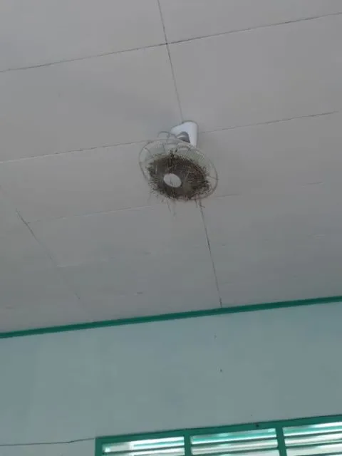 Dari Sekolah Sampai Kamar Kos, Begini Penampakannya Setelah Lama Ditinggalkan. Efek Pandemi :( 14