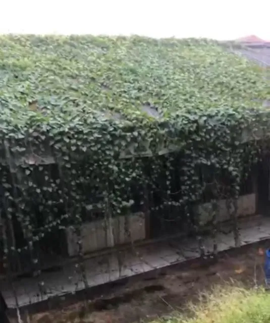 Dari Sekolah Sampai Kamar Kos, Begini Penampakannya Setelah Lama Ditinggalkan. Efek Pandemi :( 17