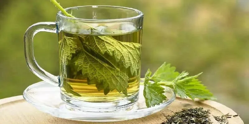 11 Macam Jamu Tradisional yang Khasiatnya Bisa Menggemukkan Badan Hingga Tingkatkan Kesuburan 23