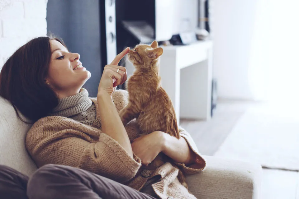 Ternyata Jadi Kucing itu Susah lo, Kerjanya Nggak Cuma Goleran dan Bikin Kesel Aja Kok~ 6