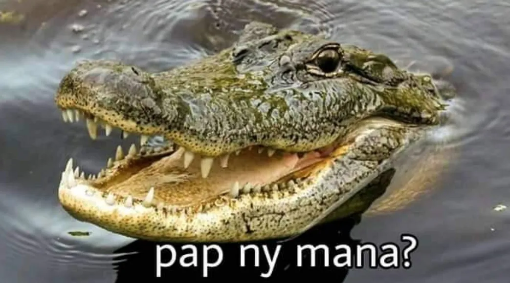 11 Kumpulan Meme Kocak Seekor Buaya. Duh, Pas Banget sama Omongan para Lelaki yang Nggak Beres~ 17