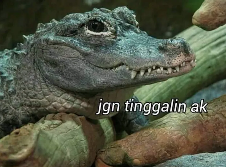 11 Kumpulan Meme Kocak Seekor Buaya. Duh, Pas Banget sama Omongan para Lelaki yang Nggak Beres~ 18