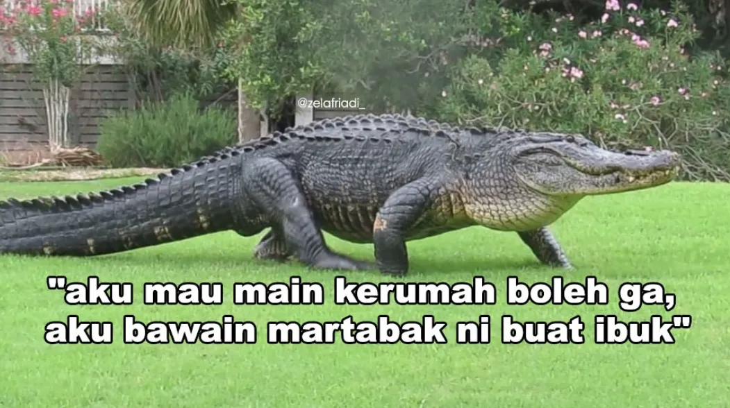 11 Kumpulan Meme Kocak Seekor Buaya. Duh, Pas Banget sama Omongan para Lelaki yang Nggak Beres~ 21