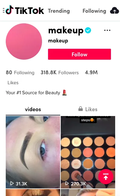 10 Rekomendasi Akun TikTok yang Suguhkan Konten Menarik. Emang Nggak Bosen Nonton Orang Joget Mulu? 17