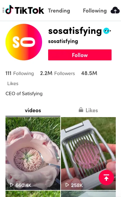 10 Rekomendasi Akun TikTok yang Suguhkan Konten Menarik. Emang Nggak Bosen Nonton Orang Joget Mulu? 19