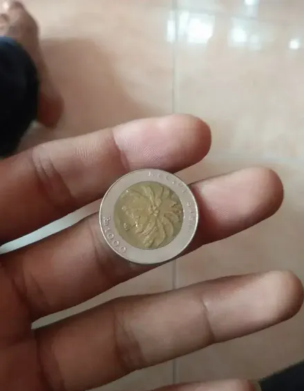 Belajar Dari Gelombang Cinta, Ini yang Harus Kamu Waspadai Dari Viralnya Uang Koin Kelapa Sawit 4