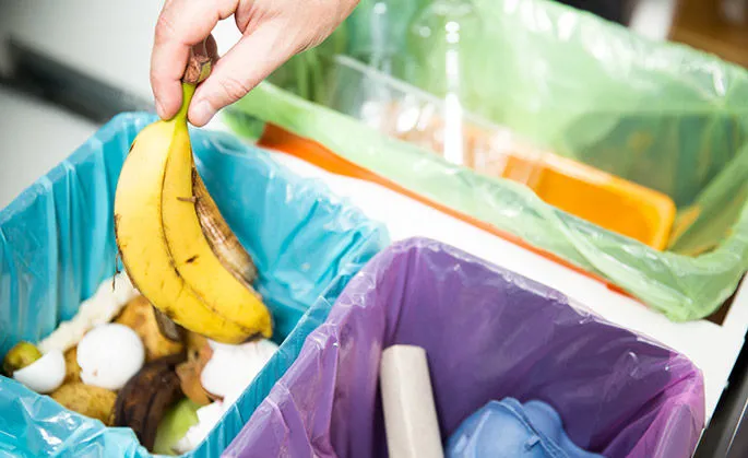 Plastik vs Kertas, Mana yang Lebih Ramah Lingkungan? Bungkus Kertas Belum Tentu Solutif, lo! 10