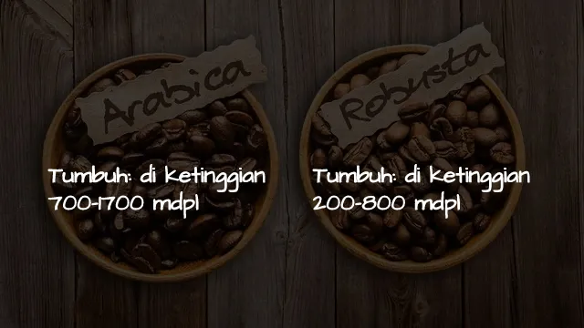 Tak Hanya Soal Rasa, ini 5 Perbedaan Kopi Arabika & Robusta. Yang Ngaku Anak Kopi Wajib Tahu, ya! 7